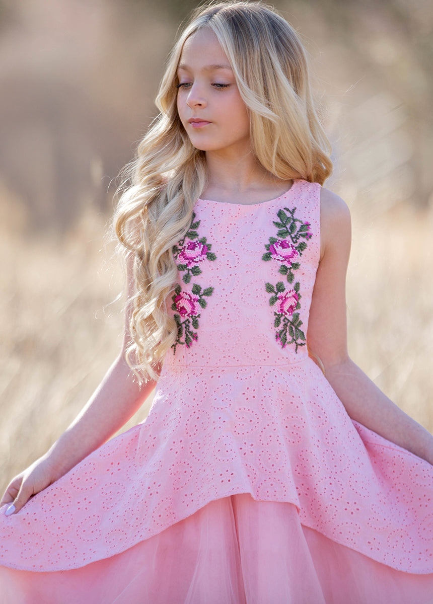 Amberlyn Dress in Blush