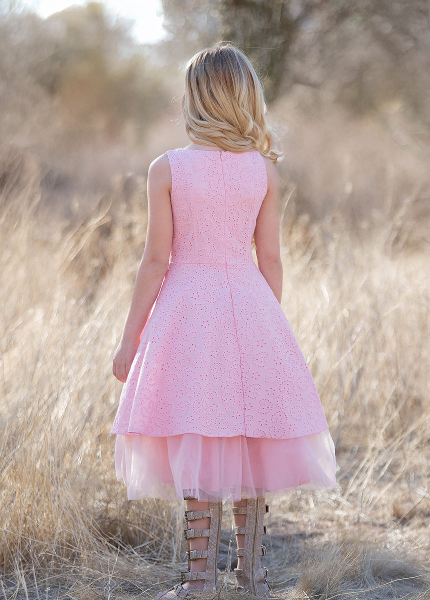 Amberlyn Dress in Blush