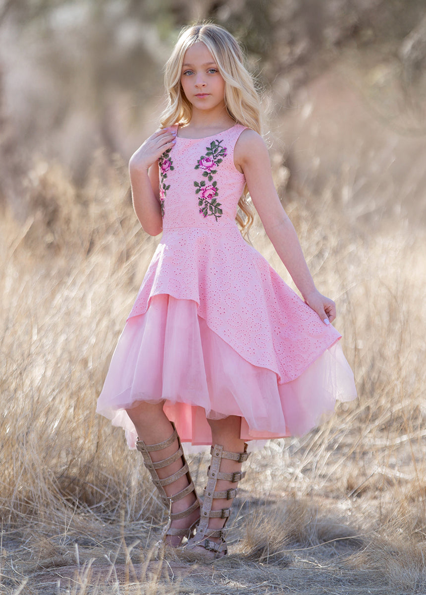 Amberlyn Dress in Blush