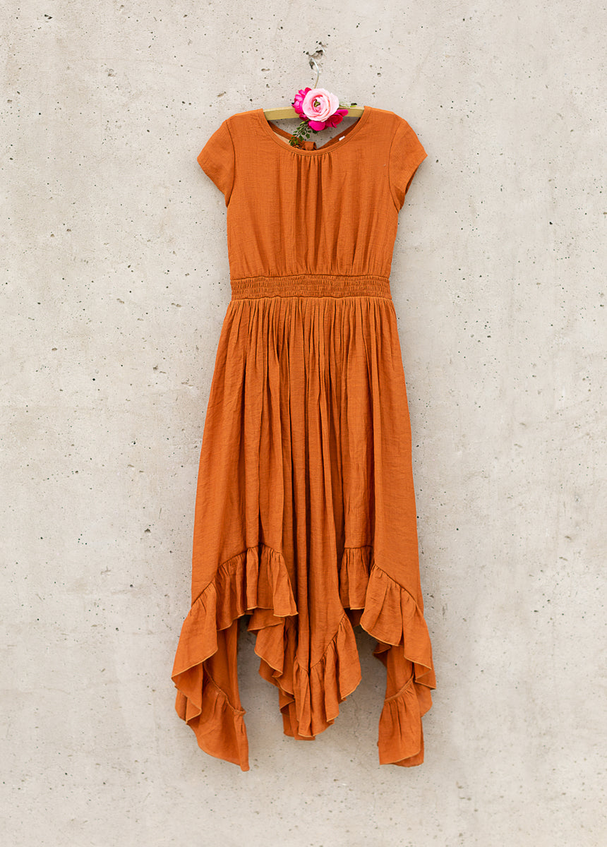Briley Dress in Spice