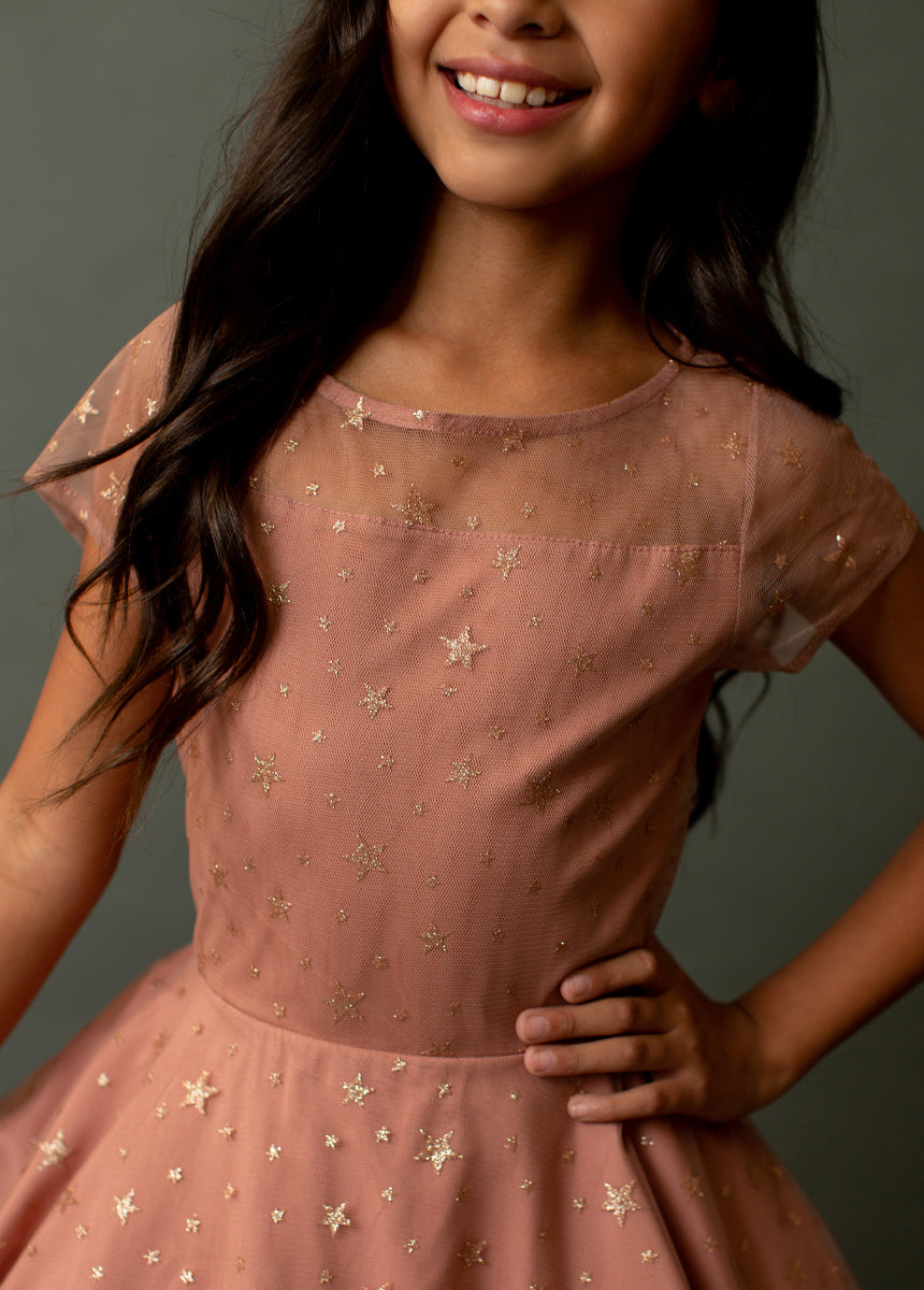 Annalise Dress in Ashe Rose