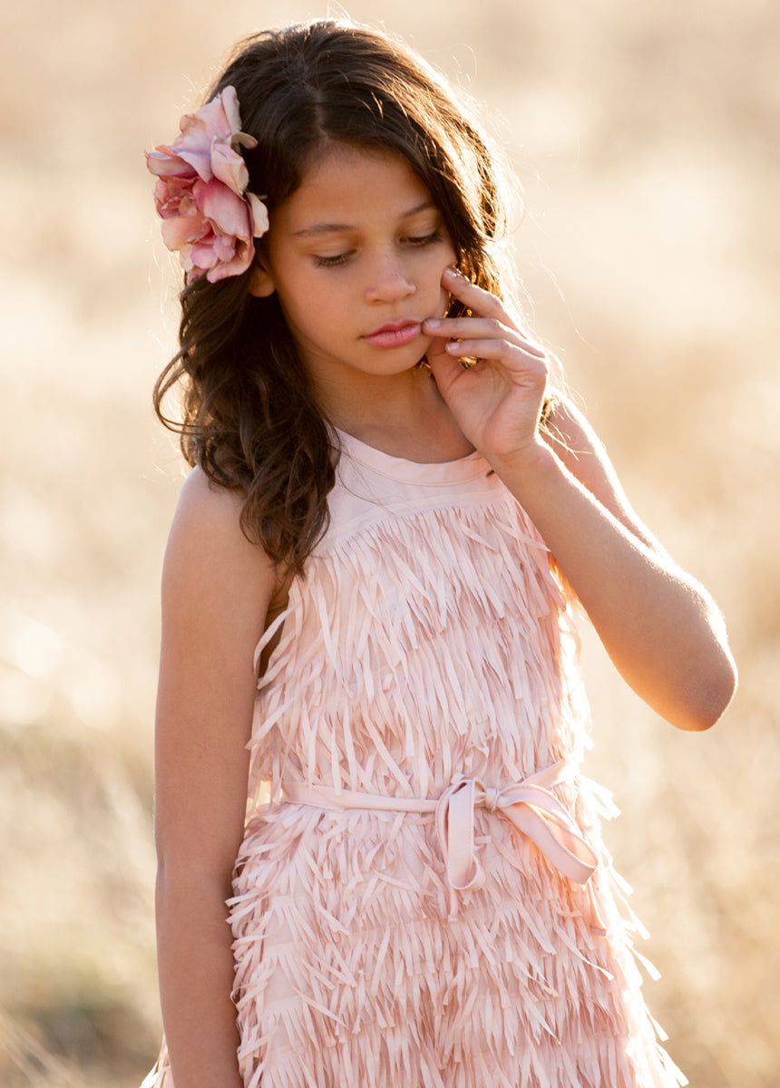 Caleo Dress in Blush