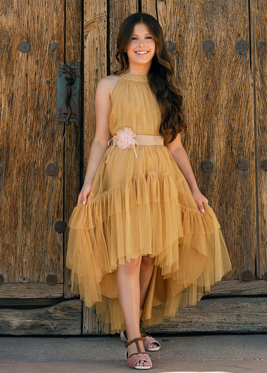 Fay Dress in Honey