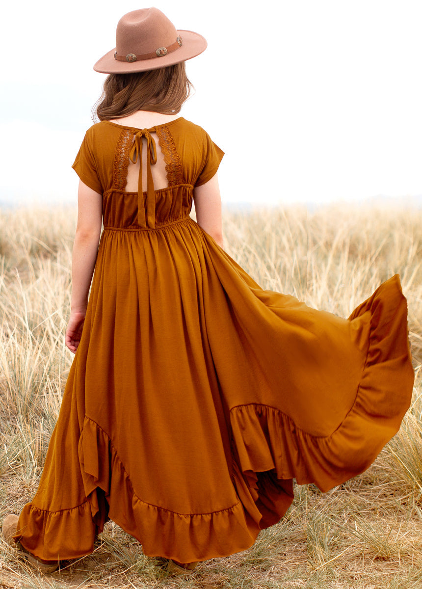 Braelyn Dress in Spice