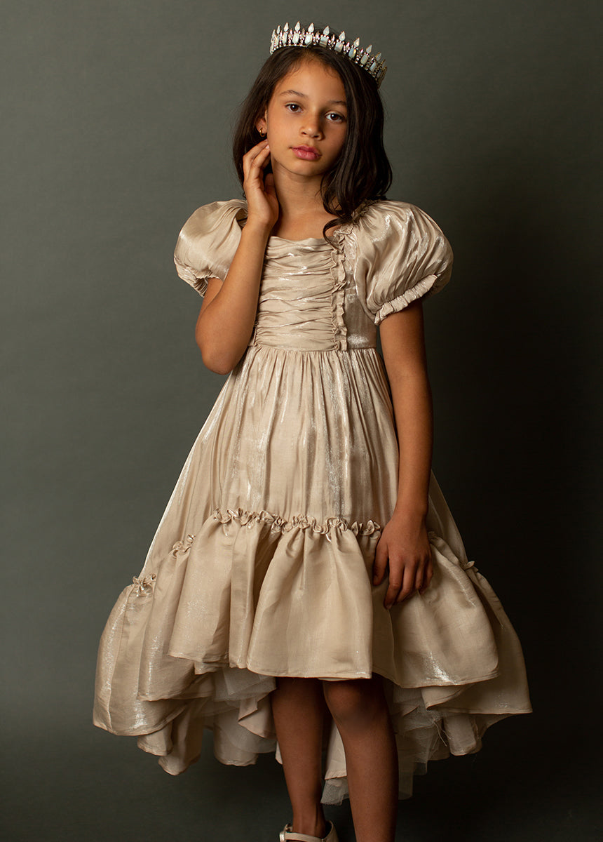 Mathilda Petticoat Dress in Champagne Iridescent