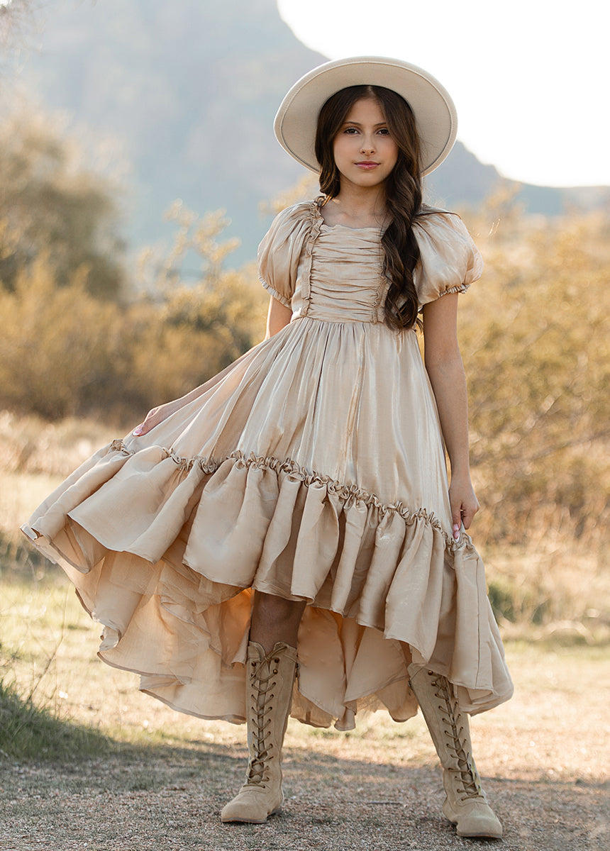 Mathilda Petticoat Dress in Champagne Iridescent